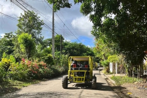 Puerto Plata: 2-stündige Buggy Adventure Tour