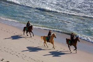 Puerto Plata: 2-timers ridetur til hest på stranden