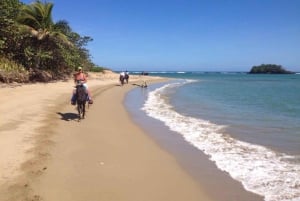 Puerto Plata: Paseo a Caballo de 2 Horas por la Playa