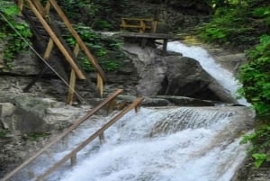 Puerto Plata: 7 vesiputouksen seikkailu lounaalla ja kuljetuksella