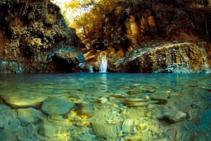 Puerto Plata: avventura alle 7 cascate con pranzo e trasferimento