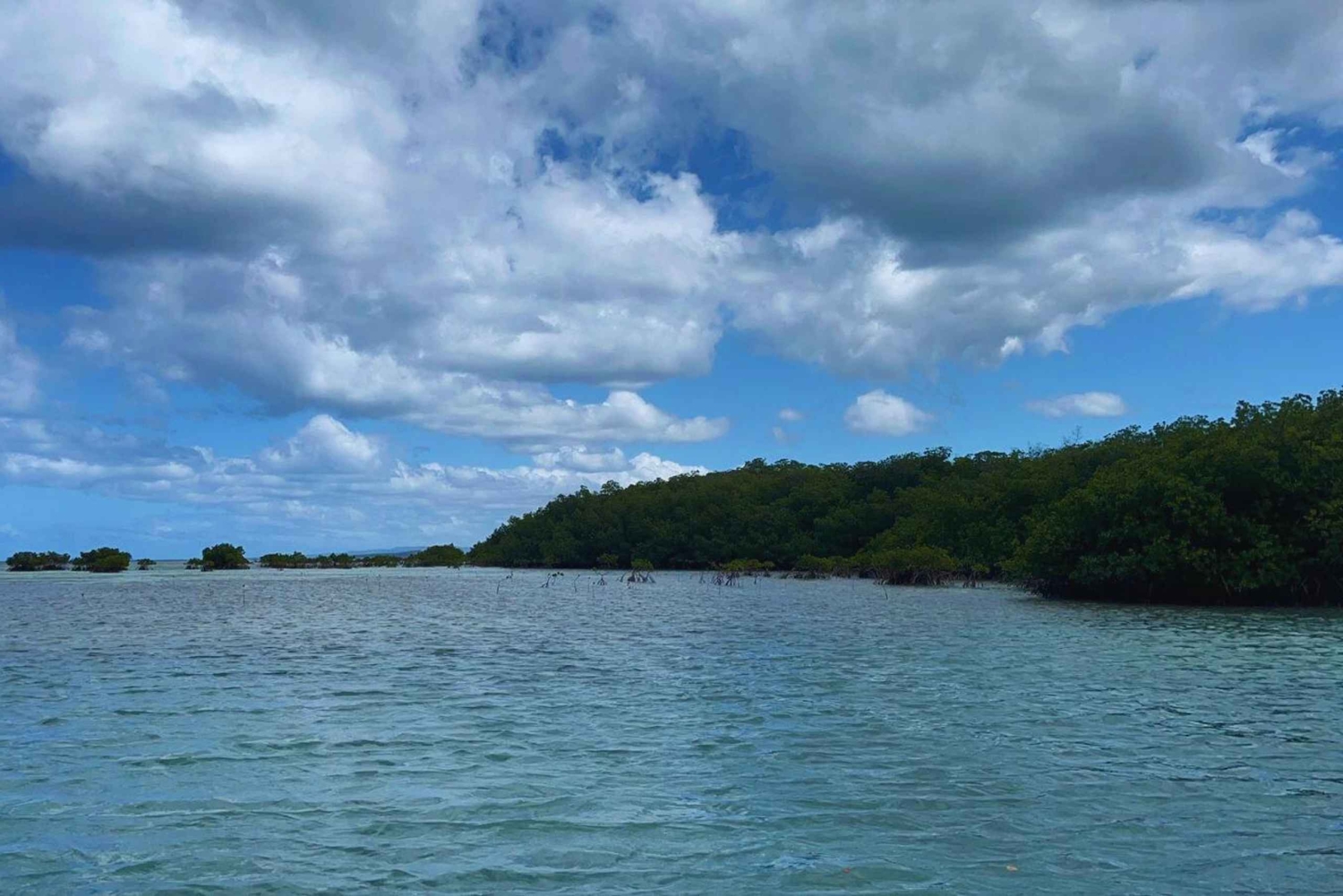 Puerto Plata : visite guidée de la baie d'Ambre et de la baie des Taïnos