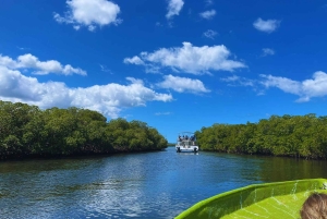 Puerto Plata : visite guidée de la baie d'Ambre et de la baie des Taïnos