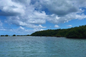 Puerto Plata : visite guidée de la baie d'Ambre et de la baie des Taïnos