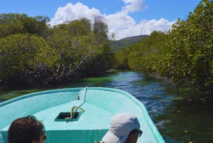 Puerto Plata : visite guidée de la baie d'Ambre et de la baie des Taïnos
