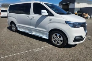 Puerto Plata: ATV-äventyr, extrem rutt, transport och flod