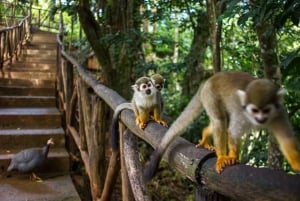 Puerto Plata: avventura in quad e scimmie + pranzo