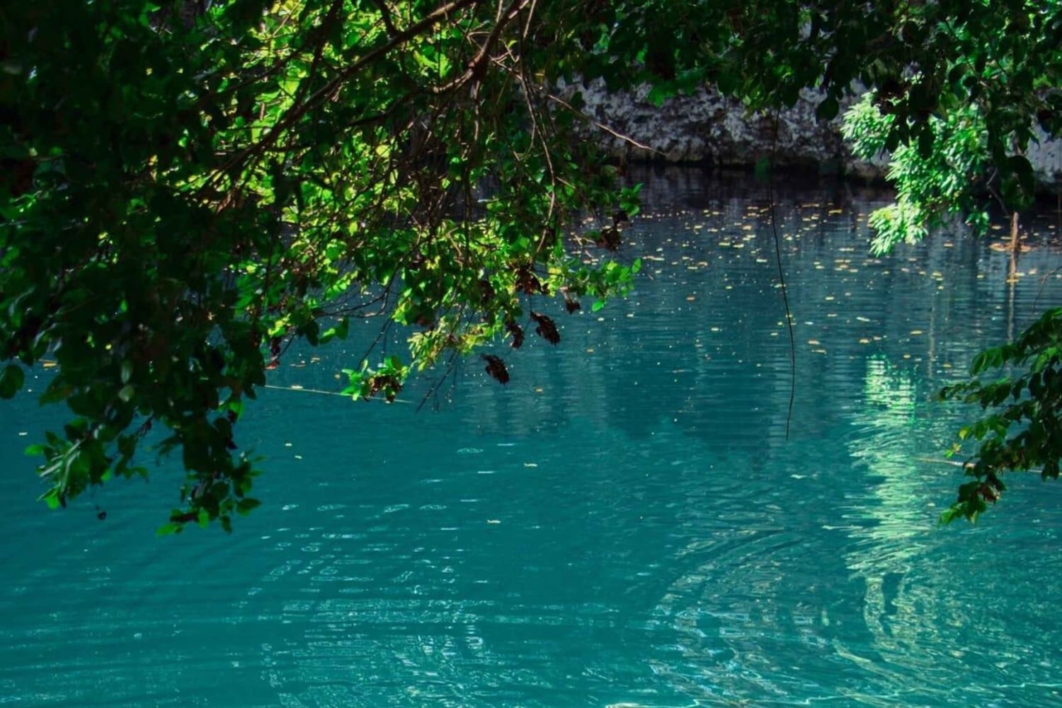 Puerto Plata: Tur til Laguna Azul med strand og frokost