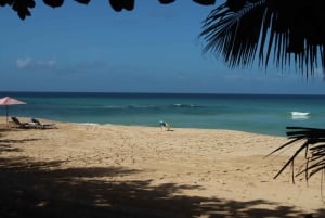 Puerto Plata: Tur til Laguna Azul med strand og frokost