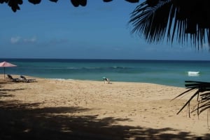 Puerto Plata: Tur til Laguna Azul med strand og frokost