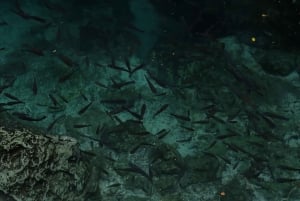 Puerto Plata: Tur til Laguna Azul med strand og frokost