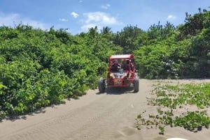 Puerto Plata: Aventura de buggy com praia e parada para charutos