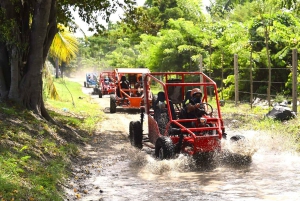 Puerto Plata: Buggy Adventure with Local Guide