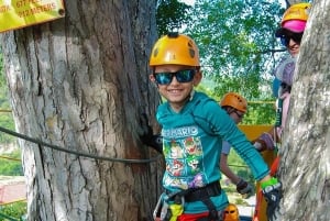 Puerto Plata: Buggy Ride, Damajagua Falls & Lunch Tour