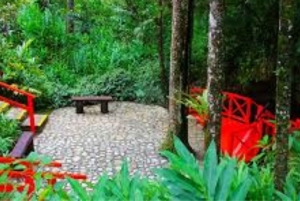 Puerto Plata: tour in funivia e al Parco Nazionale Isabel de Torres