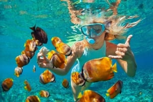 Puerto Plata: Catamaran Snorkeling Trip with Buffet