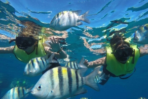 Puerto Plata: Passeio de catamarã para mergulho com snorkel com bufê