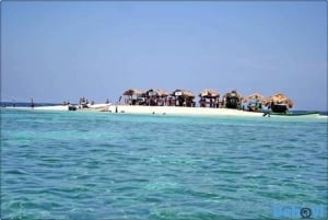 Puerto Plata: Tur til Cayo Arena med snorkling og mangrover