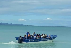 Puerto Plata: Tur til Cayo Arena med snorkling og mangrover