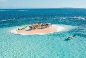 Puerto Plata: Tur til Cayo Arena med snorkling og mangrover