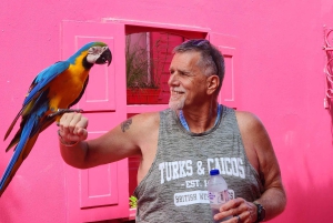 Puerto Plata: Stadssightseeing och strand