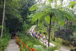 Puerto Plata: Byrundvisning, bjerg og frokost