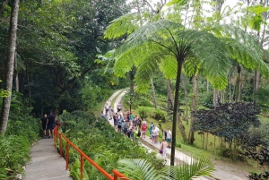 Puerto Plata: City Tour, Mountain and Lunch