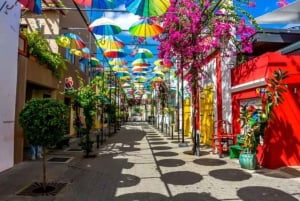 Puerto Plata: Byrundvisning gennem den historiske gamle bydel