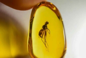 Puerto Plata City Tour: Tradition, Culture, and Coastal Beauty