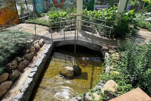 Puerto Plata: City Tour with Butterfly Garden