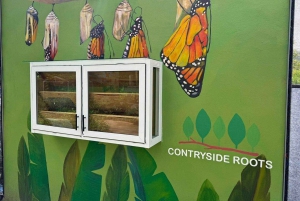 Puerto Plata: City Tour with Butterfly Garden