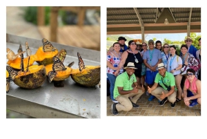 Puerto Plata: City Tour with Butterfly Garden