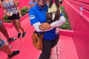 Puerto Plata: Stadsvandring med rom- och chokladfabriker