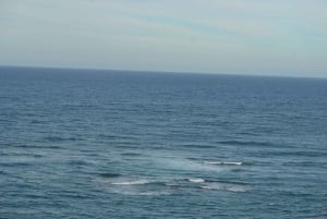 Puerto Plata: Kulturtour mit Rum- und Zigarrenverkostung