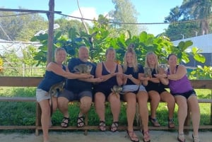 Puerto Plata : cascades de Damajagua et visite de la ville