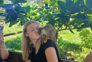 Puerto Plata : cascades de Damajagua et visite de la ville