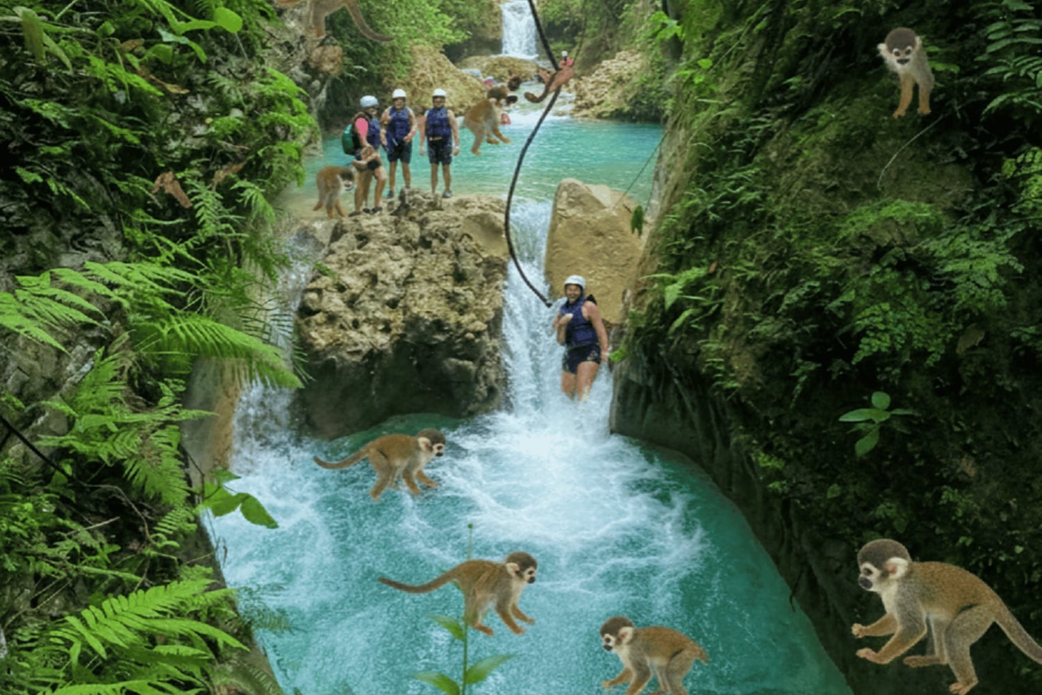 Puerto Plata: Damajagua Waterfalls and Monkeys Adventure