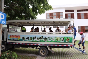 Puerto Plata: Damajagua Waterfalls and Monkeys Adventure