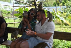 Puerto Plata: Damajagua Waterfalls and Monkeys Adventure