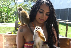 Puerto Plata: Damajagua Waterfalls and Monkeys Adventure