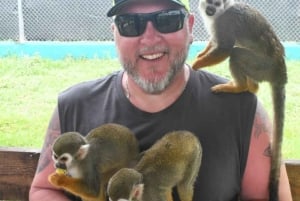 Puerto Plata: Damajagua Waterfalls and Monkeys Adventure