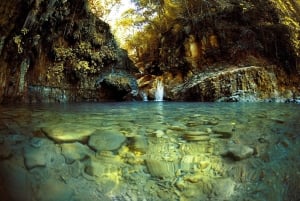 Puerto Plata: Damajagua Waterfalls Full-Day Adventure