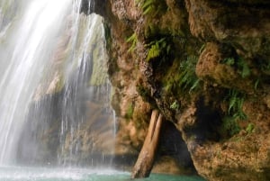Puerto Plata: Damajagua Waterfalls, Taíno Bay, & Amber Cove