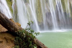 Puerto Plata: Damajagua Waterfalls, Taíno Bay, & Amber Cove