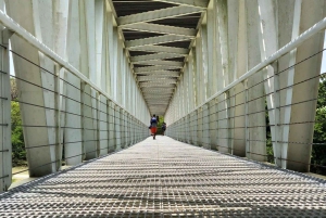 Puerto Plata: Damajagua Waterfalls Tour