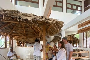 Puerto Plata: Damajagua Waterfalls Tour