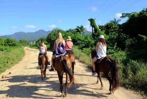Puerto Plata: Damajagua Waterfalls, Zipline & Horse Ride