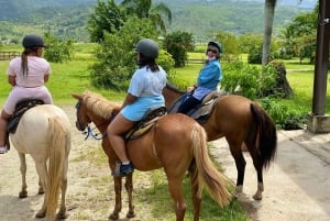 Puerto Plata: Damajagua Waterfalls, Zipline & Horse Ride