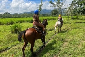 Puerto Plata: Damajagua Waterfalls, Zipline & Horse Ride
