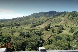 Puerto Plata: Damajaqua Cascades, Buggy Ride, and Zip Lining